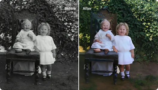 Portrait Colorization