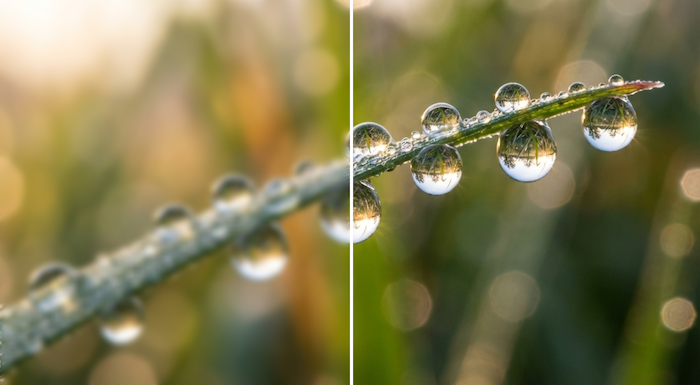 Enhanced Clarity and Detail