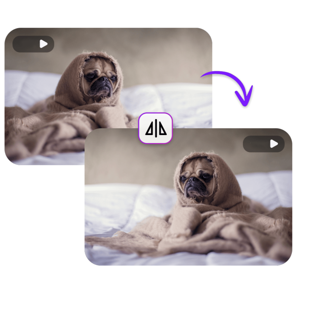 Screen Recording Videos