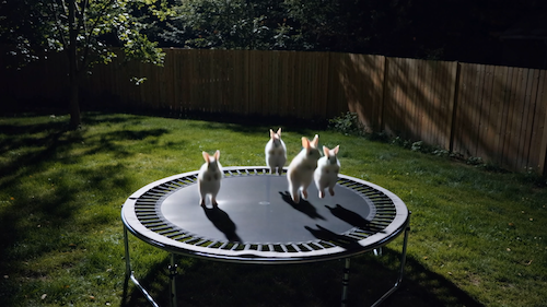AI Trampoline
