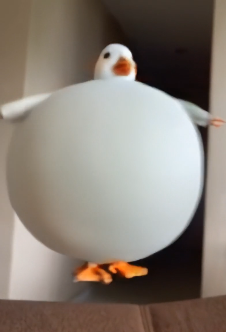 Body Inflation AI