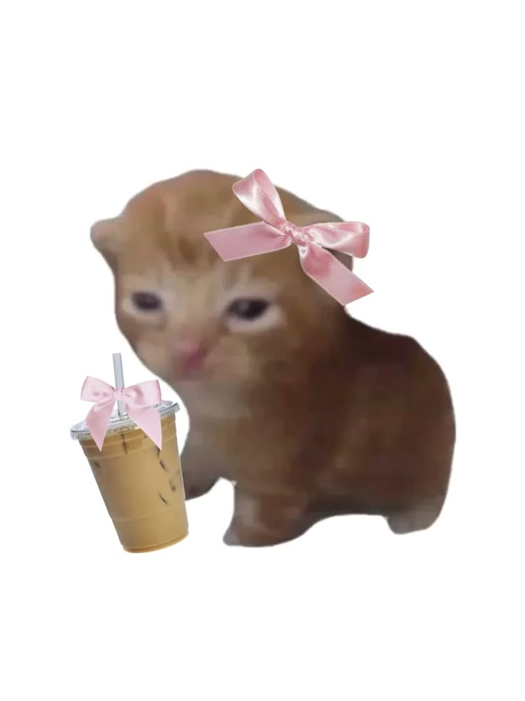 Coffee Meme