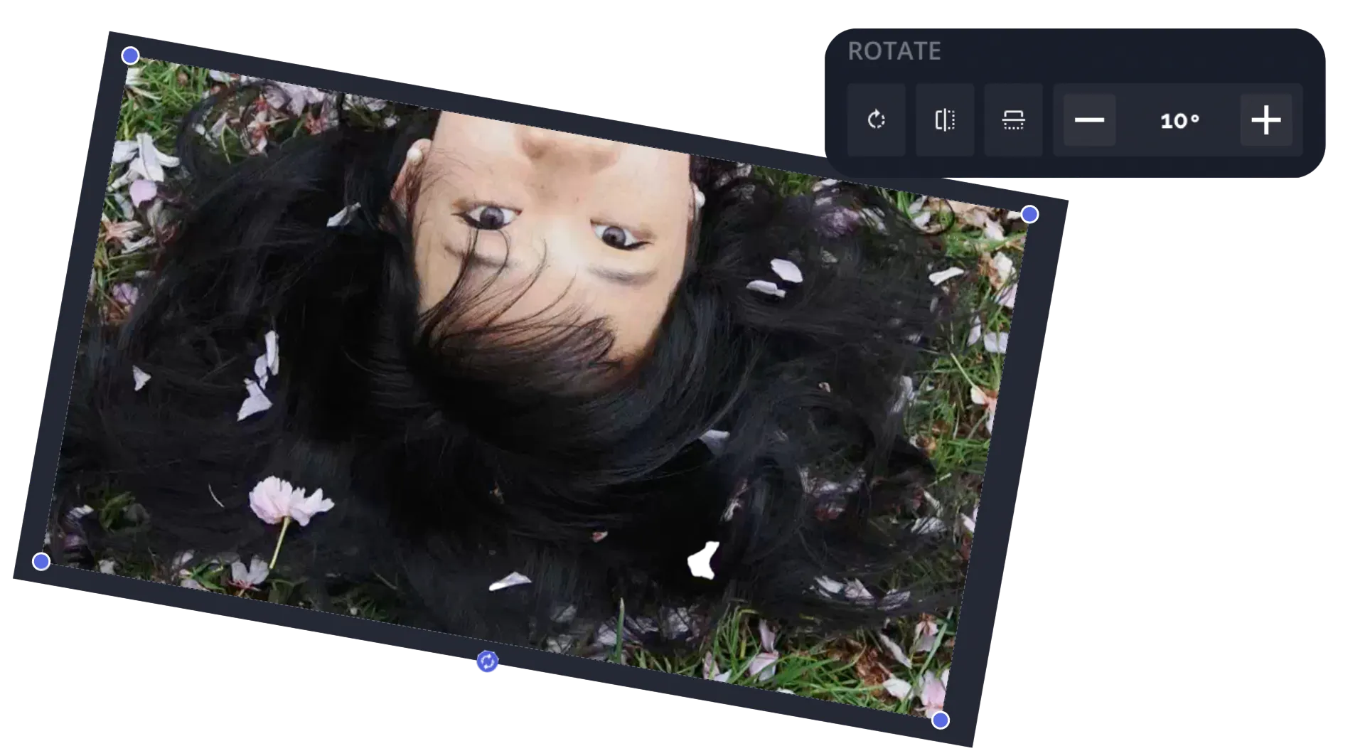 One-Click Precision Rotation
